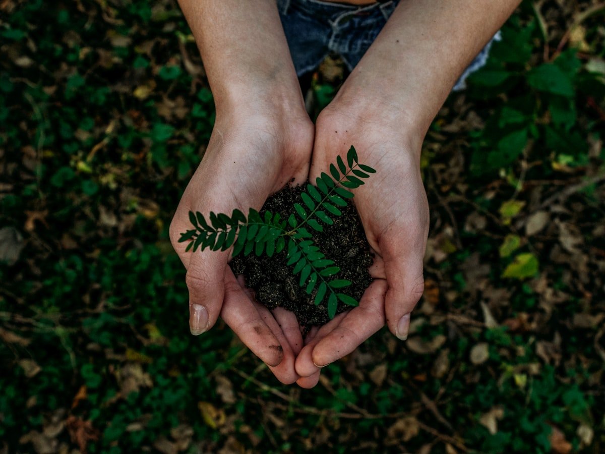 Recycling facility working towards zero waste